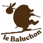 le_Baluchon.jpg